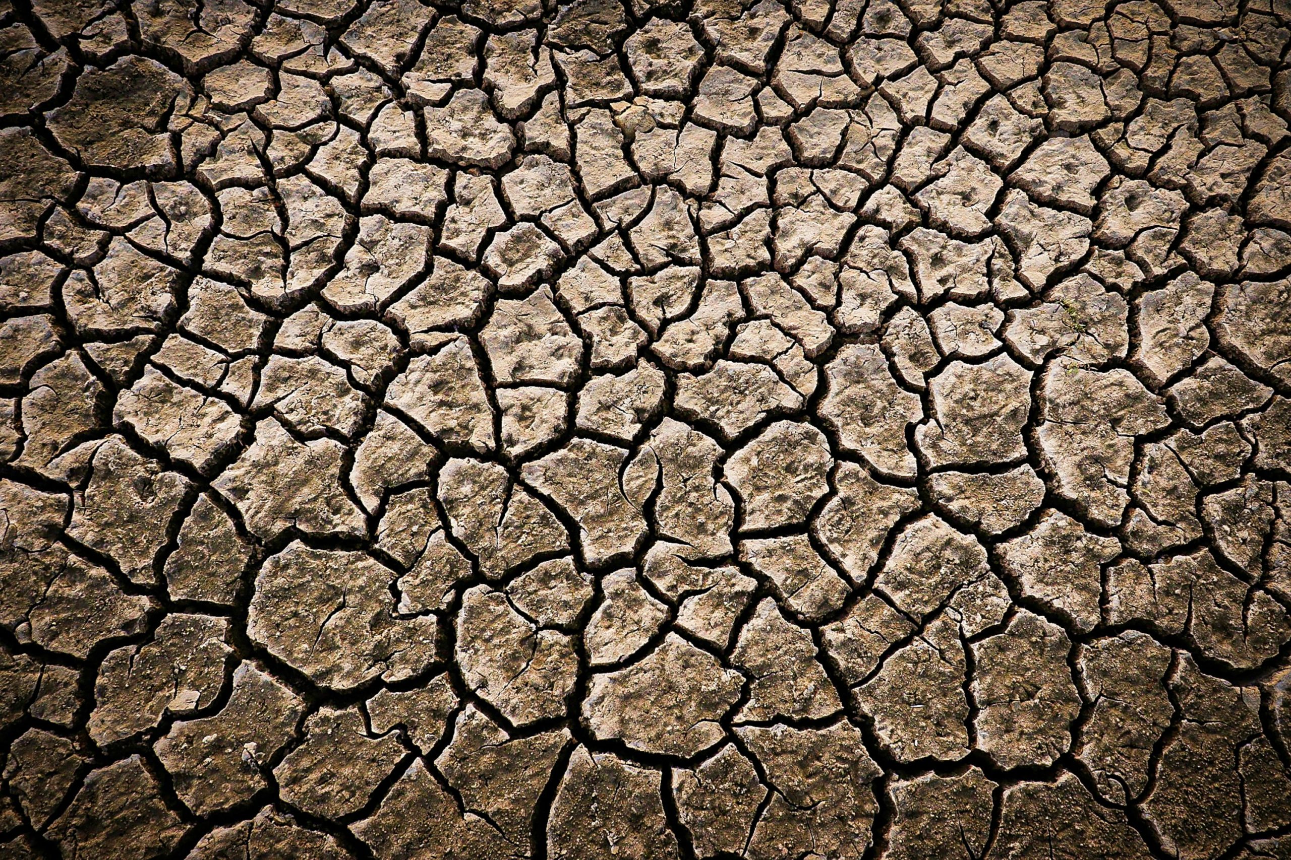 Survivre au boulot en période de canicule