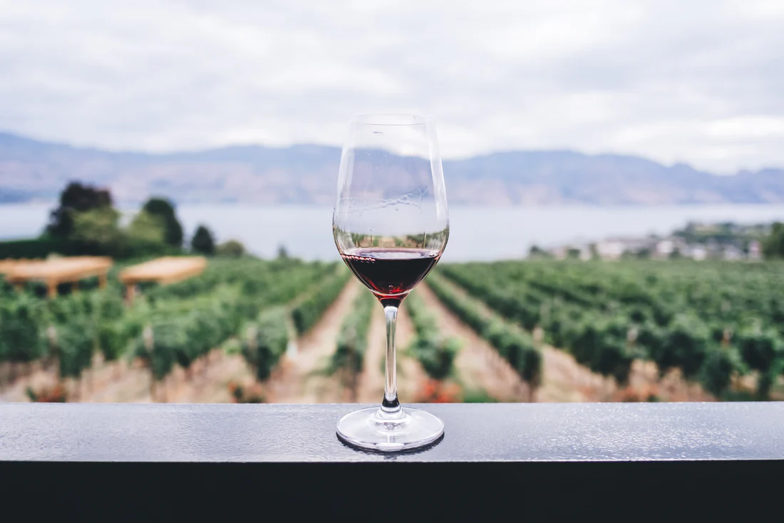 Trinquer avec Classe : Les Vins Nature à Tester Absolument à Paris