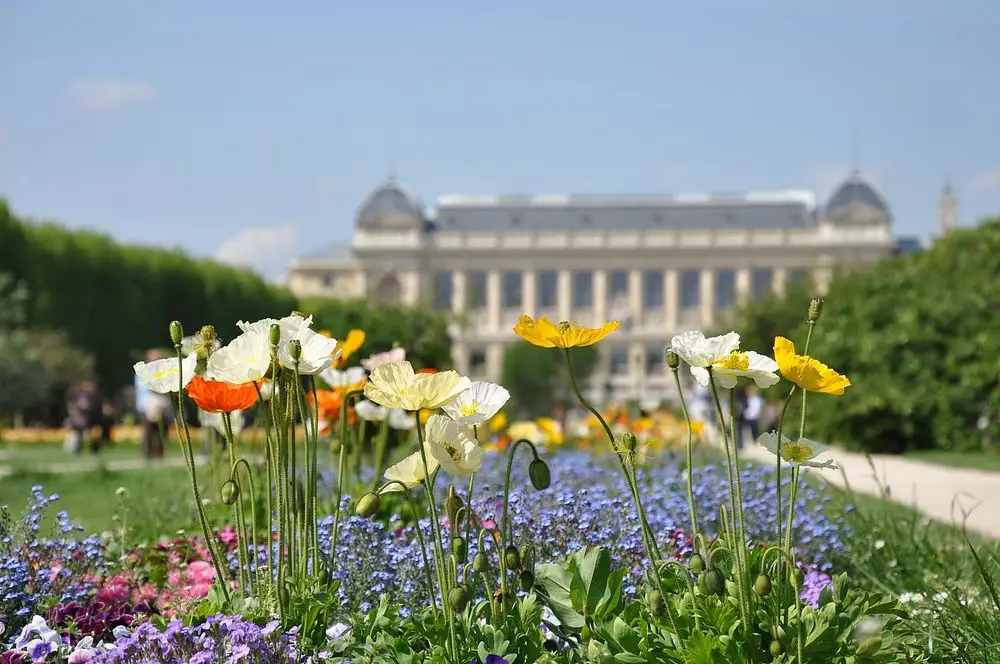 Plantes pour tous : l’affrontement vert dans Paris urbain